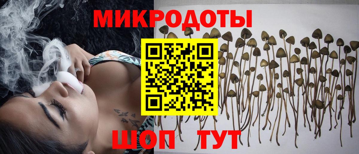 Псилоцибиновые грибы Cubensis Химки
